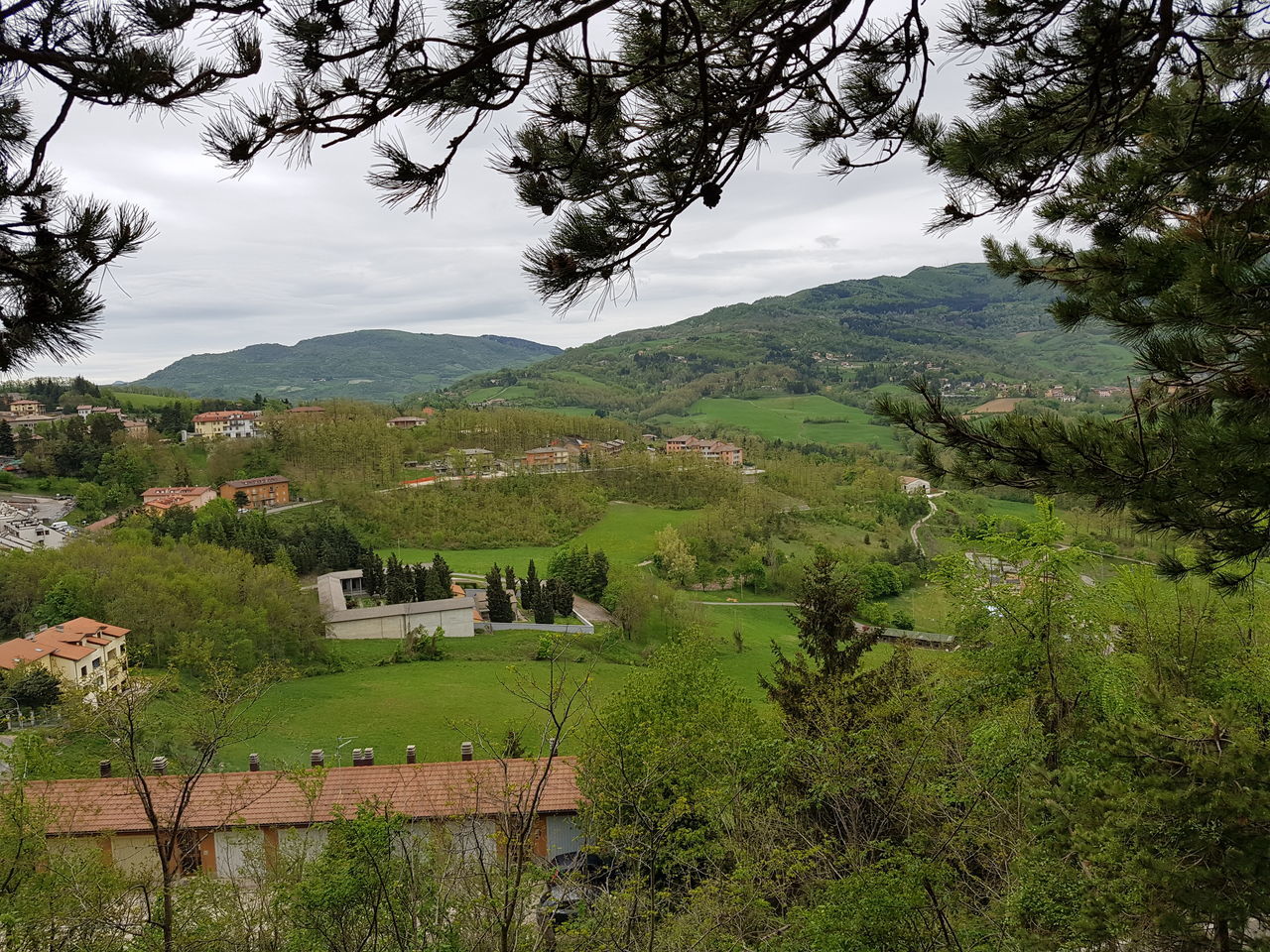 plant, tree, mountain, landscape, environment, tranquil scene, beauty in nature, scenics - nature, tranquility, growth, nature, green color, sky, land, no people, day, field, mountain range, non-urban scene, architecture, outdoors