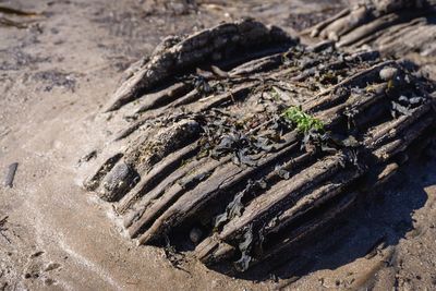 High angle view of rock texture on beach 
