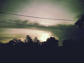 Silhouette of trees at sunset