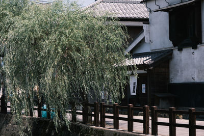 View of house and trees by building