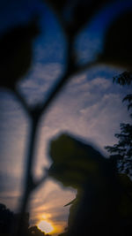 Low angle view of silhouette trees against sky at sunset