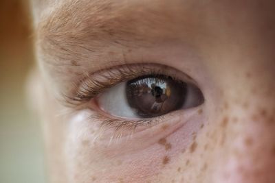 Close-up portrait of human eye