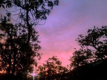 Silhouette trees on landscape against sunset sky