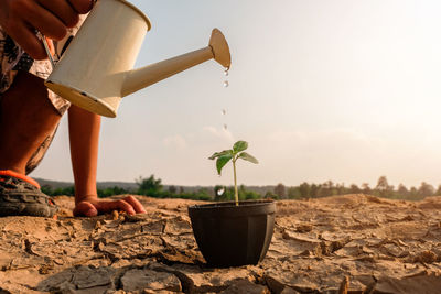 Man holding potted plant against sky