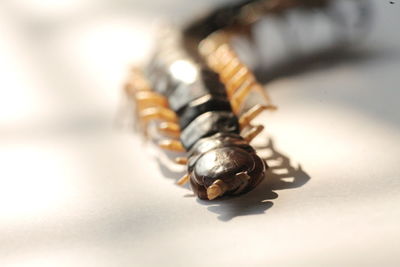 Close-up of guitar on table