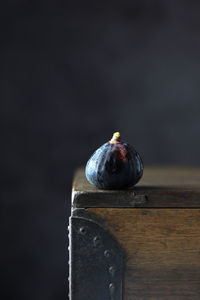 Close-up of snail on table