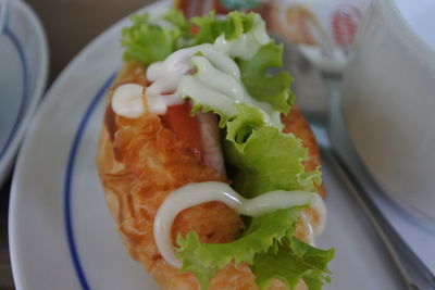 Close-up of meal served in plate