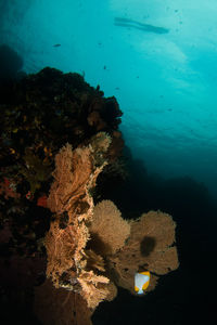 Scenic view of sea