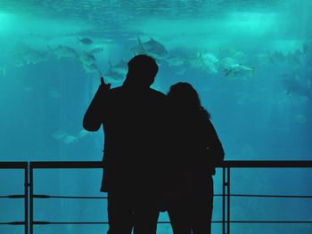 Rear view of silhouette friends at aquarium