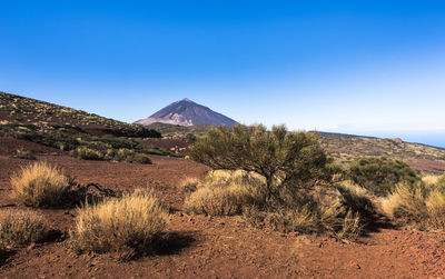 Scenic view of desert against clear blue sky