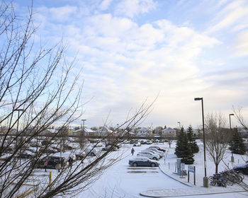 Snow covered plants against sky in city