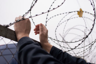 Men's hands are lying on a fence with barbed wire