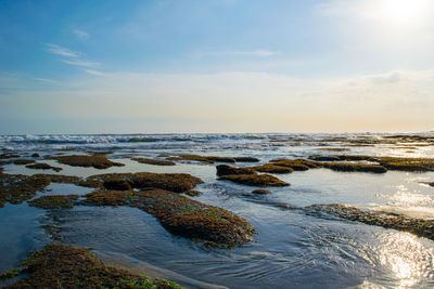 Scenic view of sea against sky during sunset