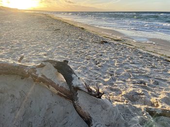 Driftwood on beach against sky