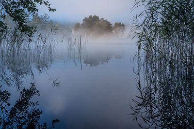 Reflection of trees in lake against sky