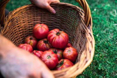 Full frame shot of berries in basket