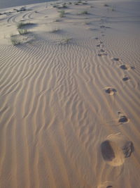 High angle view of footprints on sand at beach