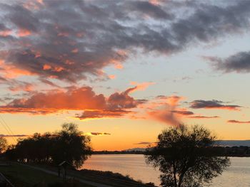 Silhouette trees by lake against sky during sunset