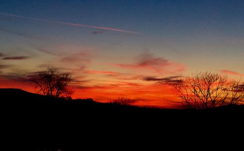 Silhouette trees against sky at sunset