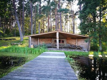 Walkway amidst trees in forest