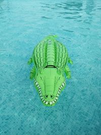 High angle view of swimming pool