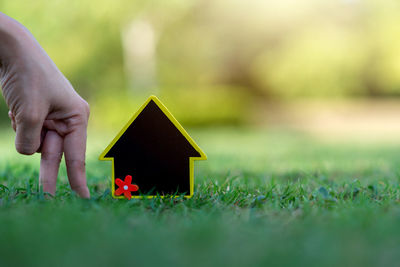 Hand holding toy on field