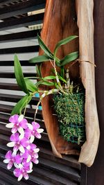 High angle view of potted plants