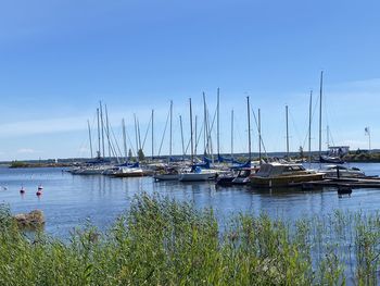 Sailboats moored in harbor against blue sky