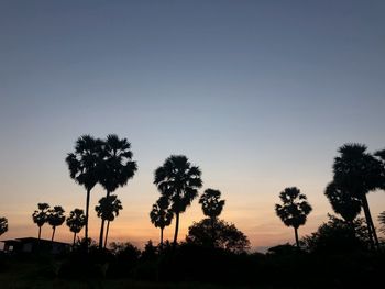 Silhouette trees against clear sky during sunset