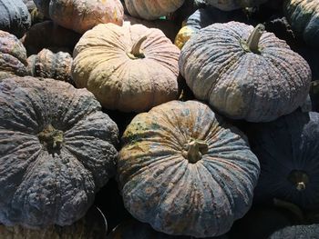 Full frame shot of pumpkins