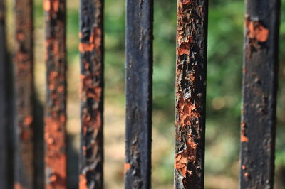 Close-up of weathered metal bars