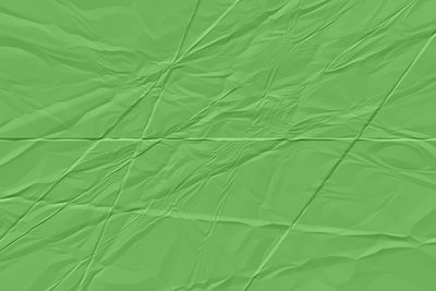 Full frame shot of green leaf