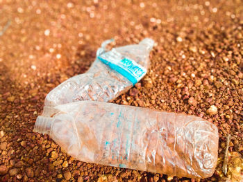 Close-up of blue bread on sand