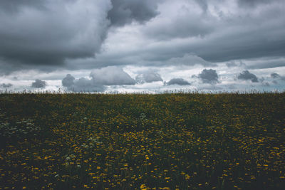 Scenic view of grassy field against cloudy sky