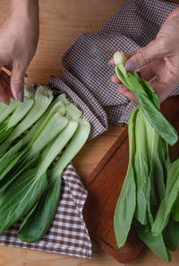 Midsection of person holding vegetables on cutting board