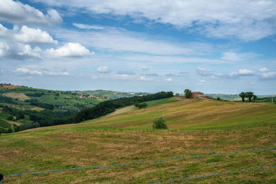 Scenic view of agricultural field against sky