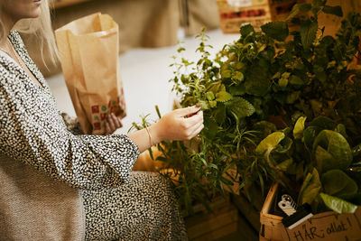 Woman doing shopping in shop with organic food