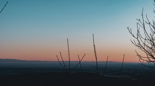 Silhouette plants on land against clear sky during sunset