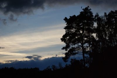 Low angle view of silhouette trees against sky at sunset