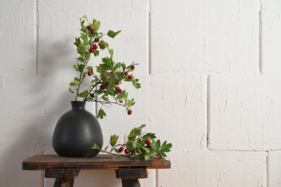 Potted plant against wall