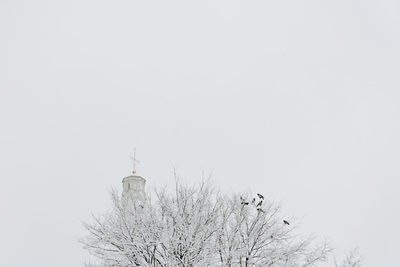 Low angle view of bare trees against clear sky