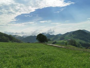 Scenic view of field against sky