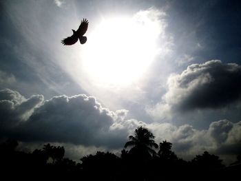 Low angle view of silhouette birds flying against sky