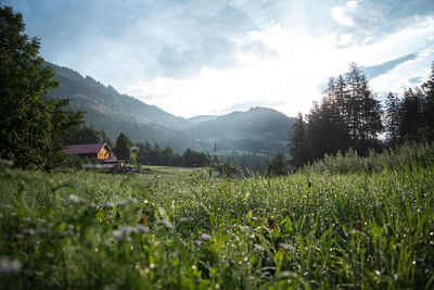 Rear view of people walking on field against sky
