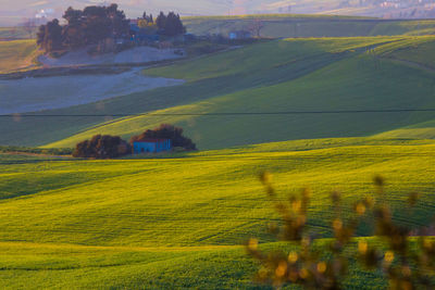 Scenic view of agricultural field against sky