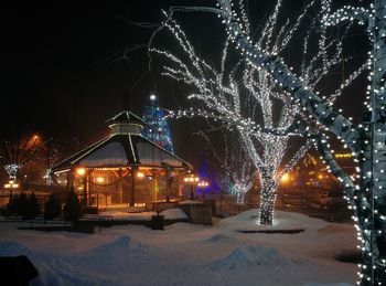 Illuminated christmas tree in city during winter