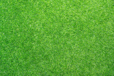 Directly above shot of soccer ball on field