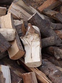 Stack of logs