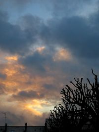 Low angle view of silhouette trees against sky at sunset