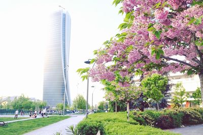 View of flowering trees and buildings against sky